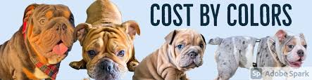 Pms 200 buy matching paint. Cost By Colors Rosewater Bulldogs