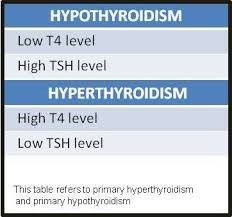 What Is The Best Lab Test To See If Thyroid Problems Are