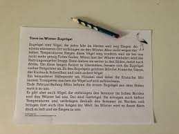 Dabei teilt es die verschiedenen strategie 6 zum sachtext verstehen: Tiere Im Winter Sachtext Vi Zugvogel Grundschule Und Basteln Der Blog Von Beate Kurt