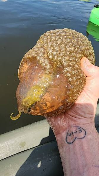 What is this object found in Lamoka Lake canal?