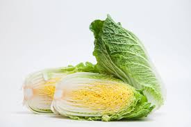 Maybe you would like to learn more about one of these? Bilko Napa Cabbage How To Grow Bilko Cabbage Plants