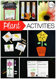 Cut the stems of your white flowers off at an angle. Color Changing Flowers The Stem Laboratory