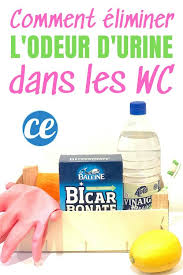 Rien De Pire Que Les Odeurs De Pipi Dans Les Toilettes Heureusement Il Existe Une Recette Diy Simple Et Efficace P Odeur De Pipi Odeur Astuces Pour Nettoyer