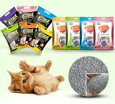 Bircok Cinli Ak Kedi Kumu Toptancidan Toptan Fiyatina Online Ak Kedi Kumu En Iyi Alim Ak Kedi Kumu Alibaba Com