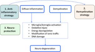 Establishing and following a treatment plan with your healthcare provider is the best strategy for managing your ms. Treatment Of Progressive Multiple Sclerosis Challenges And Promising Perspectives Sciencedirect