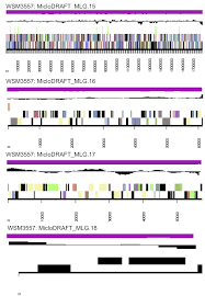 Image result for Lotononis crumanina