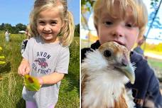 Open Farmyard: Summer Sundays