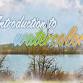 Introduction to Watercolors: Art Classes at 3 Square Art in Fort Collins, Colorado — 3 Square Art