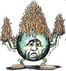 Overpopulation Is A Myth Poster Drawing Animal Planet Human Overpopulation