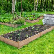 Under such situation sunken beds are recommended so that cold waves. Ssline Set Of 4 Raised Garden Bed Kits Elevated Planter Box For Vegetables Fruits Herb Grow Outdoor Plastic Elevated Garden Beds With Self Watering Indoor Planting Box Container For Garden Patio Pots Planters Container Accessories
