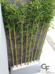 Carolco 2 Jardines Modernos De Gf Arquitectos Moderno Bambu Verde Homify Modern Garden Garden Deco Garden Design