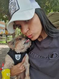 My Yorkie cut. You like?