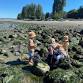 Low Tide Tour