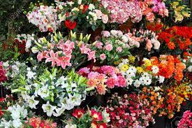 It takes a 1,000 pounds of handpicked flowers from an orange tree to produce the neroli essential oil, which has an incredible floral and citrusy intoxicating scent. Bouquets Of Artificial Flowers In Flower Shop Stock Photo Picture And Royalty Free Image Image 15141142