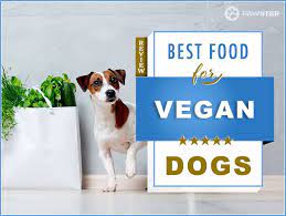 Best Vegan Dog Food Top 5 Vegetarian Options For Your Pooch Vegan Dog Vegan Dog Food Vegetarian Dog Food Recipe