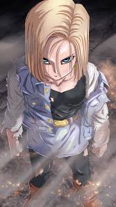 Wallpaper Android 18 Wallpaper Iphone 1080x1920 Download Hd Wallpaper Wallpapertip Find the best hd iphone wallpapers. wallpaper android 18 wallpaper iphone