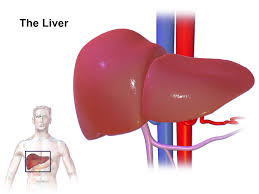 Transplant Surgery Wilson Disease