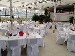 Hochzeit Im Haus Der Rosen In Fellbach Haus Rosen