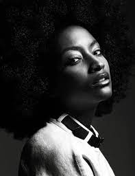 Afro Dreadstop Natural Hair Woman Natural Hair Styles Hair Photo