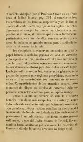 Image result for Allophylus fulvotomentosus