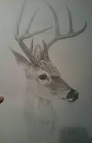 Maybe you would like to learn more about one of these? Deer Drawing Realistic American Hirsch Weisswedelhirsch Amerikanisch Zeichnung Realistisch Deer Drawing Art Reference Whitetail Deer