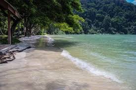 Monkey Beach Jungle Trek Through Penang National Park Maleisie Azie Cambodja