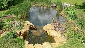 Formal And Natural Garden Pond Designs Pete Sims Garden Pond Design Pond Design Natural Pond