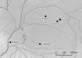 Image result for Allophylus congolanus