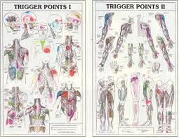 Trigger Points Of Scalene Trigger Points 1 Trigger