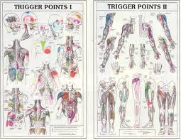 trigger points of scalene trigger points 1 trigger