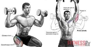 Explosive Power Fitness Fitnessrx For Men Muscle Fitness Fitness Facts Fitness Body