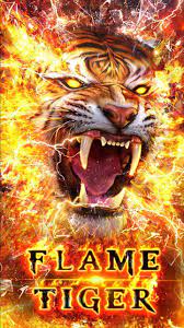 You can also upload and share your favorite cool tiger wallpapers. Horrible Fire Tiger Live Wallpaper For Android Apk Download