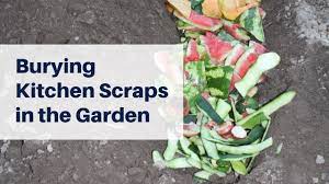 From spring to fall, my veggie garden beds stay so busy growing good things to eat that there is little opportunity to practice the easiest form of composting gloppy kitchen waste, which is to bury it right in the garden. Bury Kitchen Scraps In The Garden To Improve The Soil Youtube