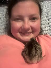 Can anyone tell if this is a rooster or a hen yet? It is much larger than  all my others but I did not know if it was because of the breed. |