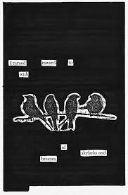 Resultado de imagen para Blackout poetry
