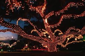 Jekyll Island Is A Lights For Holiday Island Www Jekyllclub Com Jekyll Island Jekyll Island Georgia Vacation Places