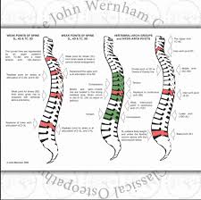 Mechanics Charts Series Spine Arches