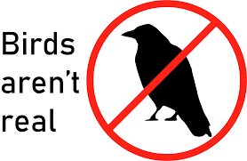 Pin On Birds Arent Real