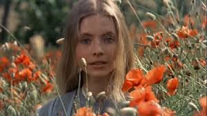 Forsaken 70s Cinema: Franco Zeffirelli's 'Brother Sun, Sister Moon'