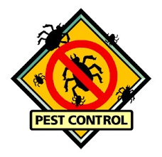 Magic pest control | serving maricopa & pinal counties since 1993, magic pest control offers the finest termite and pest control services. Top 10 Pest Control Services In Pune Safe Certified Chemicals Urban Company