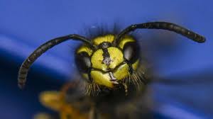 Kaitlynroseb onlyfans all acronyms are in play and play I