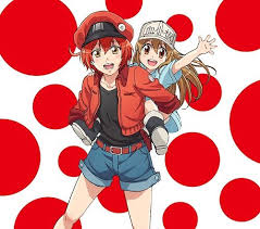 Nonton anime sub indo, download anime sub indo. 6 Anime Like Hataraku Saibou Cells At Work Recommendations