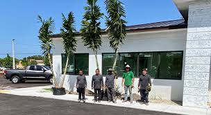 We are a wholesale grower specializing in hedge plants. East Coast Nursery