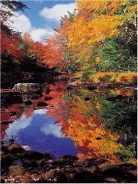 Buy map of canada from ravensburger, 100 pieces, free shipping available | puzzle warehouse. Ravensburger Puzzle Canada Indian Summer 1000 Pieces Buy Online In Dominica At Dominica Desertcart Com Productid 61459313