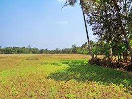 Dengan pemandangan hamparan padi yang menyejukkan, cafe cinta bisa jadi alternatif pilihan untuk kamu yang ingin bersantap di tepi sawah. Websitefoto Com