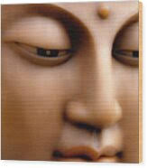 Japanese Great Buddha Face Photograph by Sheila Haddad