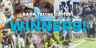100 BARK Tattoo Contest Winners, Announced