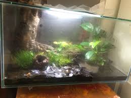 Pin By B Steel On My Vivarium Projects Vivarium Terrarium Aquarium