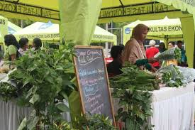 We did not find results for: Amboina Farmers Market Tingkatkan Ekonomi Kreatif Petani