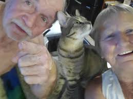 Lost pet at HTR RV park campgrounds